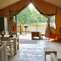 Buy  Safari Camping Canvas  Camping Tent for Family