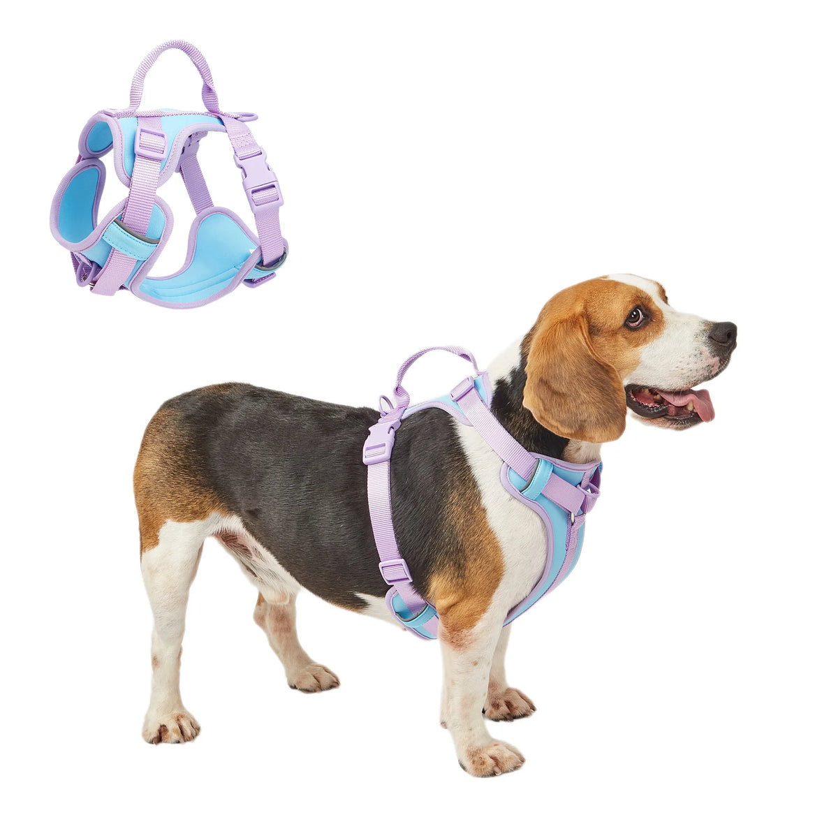 No Pull Dog Harness with Handle Adjustable in Stock Solid Color Luxury Nylon Cute Dog Harness for Medium Dogs MegaBDM