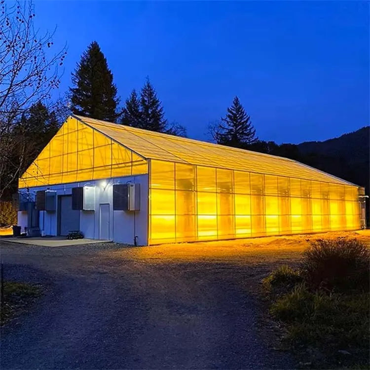 Skyplant Greenhouse Black Out Shed-All-in-One Mushroom Cultivation System with Durable Frame & Efficient Light-BlockingMaterial