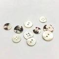 2 Holes Trocas Sea Shell Patterned Flatback Shirt Buttons Round Button Type for Decoration