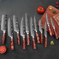 Cross-border Hot Sales 10 Pieces of Damascus Pattern Chef's Knife Laser Western Cuisine Stainless Steel Red Resin Handle MegaBDM