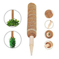 Customized 15 16 17 Inch Garden Plant Support Extension Stakes Moss Pole Stick Set for Plants Flower Pots & Planters
