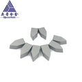 YG6/K10 C125 Tungsten Carbide Brazed Tips OEM Customized for External Turning Tools with 3-Year Warranty