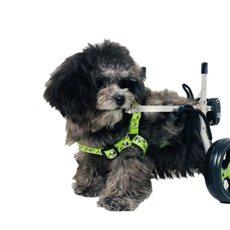 USMILEPET Solid Four-Wheel Dog Mobility Cart Power Assist for Teddy's Hind Limb Paralysis Made of Durable Plastic