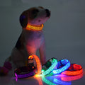 Adjustable Nylon LED Dog Cat Collar Luminous Leopard Glowing Lights Electronic Pet Night Safety Flashlight LED Technology