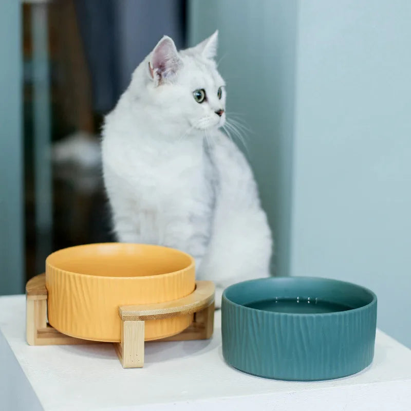 Hot Sale Wholesale Pet Bowls Ceramic Pet Food Water Bowl Easy Clean Pet Feeder Dog Bowl MegaBDM