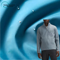 Custom 100% Polyester Softshell Fabric for Girls Waterproof & Windproof Coating for Ski Suit & Outdoor Jacket Lining