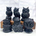 Wholesale Obsidian Owl Carving Fashionable Animal Theme Healing Stones Polished Crystal Crafts for Home Decoration Gift