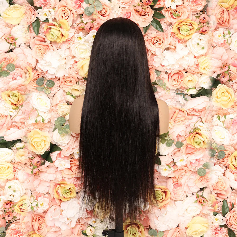 Raw Brazilian Hair Swiss Lace Human Hair Wig Virgin Cuticle Aligned Hair Glueless Full Frontal Lace Wig