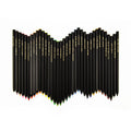 Customized Bulk Leadur 36 Color Basswood Hexagonal Colored Pencil Set with Metal Box Drawing Hard Lead