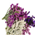 Top Seller Yunnan Dried Flowers Factory Direct Sales Forget Me Not Floral Arrangement and Matching for Home Decor