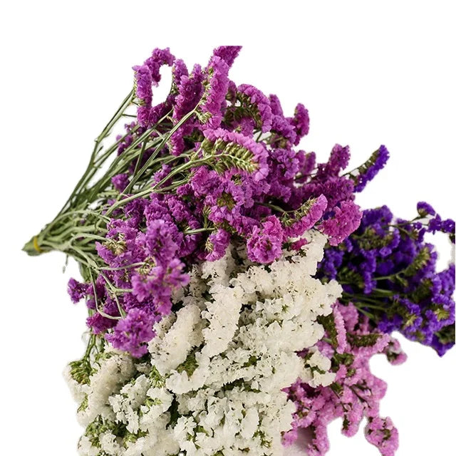 Top Seller Yunnan Dried Flowers Factory Direct Sales Forget Me Not Floral Arrangement and Matching for Home Decor