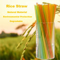 Eco Friendly Drinking Straw Organic Natural Edible 100% Biologicable Rice Straw