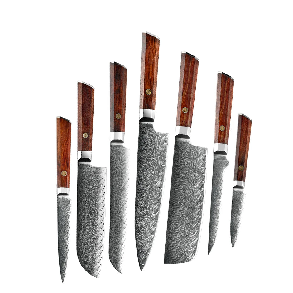 Kitchen 67 Layers Damascus Steel Knife Set Damascus Chef Bread Nakiri Santoku Boning Utility Paring Knives with Africa Rosewood