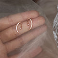 2025 Moon and Star Rose Gold Plated 925 Sterling Silver Trendy Charm Earrings