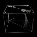 Customized Wholesale clear Box with Lid Acrylic showcase Transparent Acrylic Box