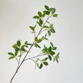 Artificial Real Touch Ficus Stem Branch Leaves Long Greenery for Wedding Party Home Table Decoration