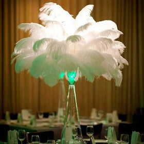 Wholesale Selling Beautiful 18-26in Ostrich Feathers Drabs for Dress Centerpieces Home Decoration Carnival Hats Costume Parties