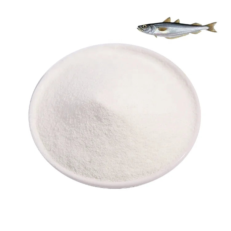 Serbuk Fish Collagen Protein Powder Nutrition Enhancer