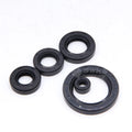 SWKS Rubber NBR Radial Oil Seal Double Lip Tc Tg Skeleton Rotary Shaft Oil Seal