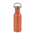 Custom Logo Wholesale 750ml Powder Coated Single Wall Stainless Steel Outdoor Drink Water Bottle With Small Mouth Lid and Handle