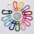 AA00730 Mini Carabiner Keychain Snap Hook Metal Key Buckle Key Chain Crafts Hardware Accessories
