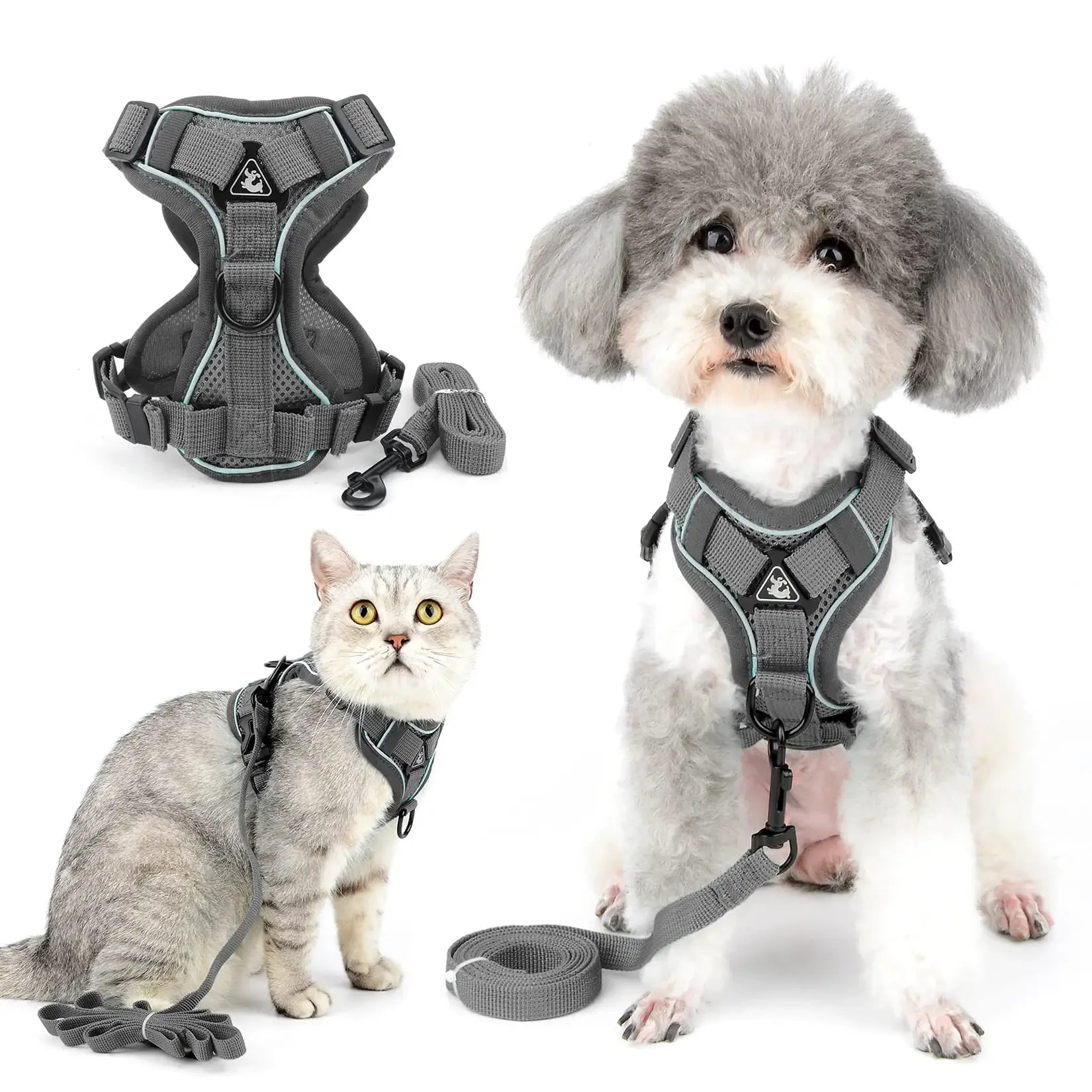 New Pet Cat Dog Leash Chest Back Set Mesh comfort Adjustable Vest Type Explosion-proof Flush Clothes