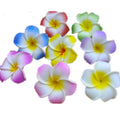 Hair Accessory Barrettes Hawaiian White Artificial Plumeria Foam Flower Frangipani Hair Claw Clip for Party Bridal Wedding Beach
