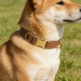 Petkaa 2026 New Material Luxury Corduroy Pet Collar Dog Accessories with Metal Buckle Brown Color Custom Laser logo Style Sale