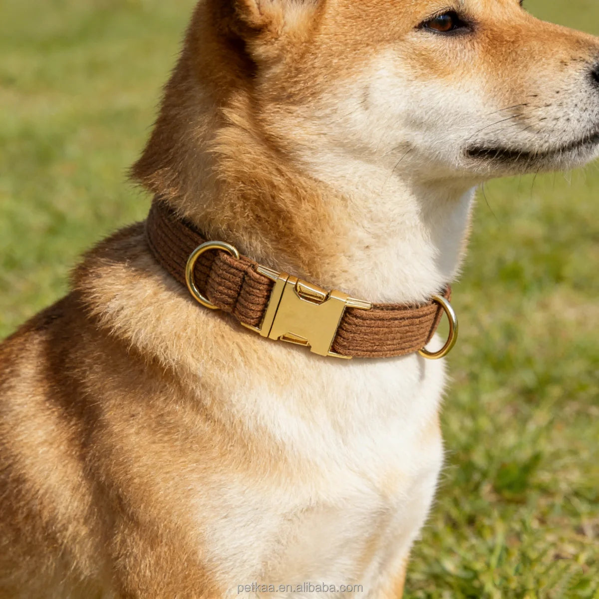 Petkaa 2026 New Material Luxury Corduroy Pet Collar Dog Accessories with Metal Buckle Brown Color Custom Laser logo Style Sale