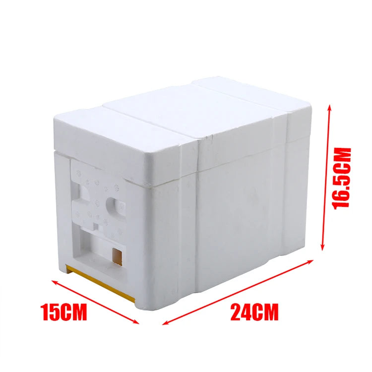 Queen Bee Mini Mating Nucs Box New Condition Nucleus Polystyrene Bee Hives Essential Apicultura Beekeeping Equipment