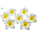 Artificial Plumeria Rubra Hawaiian Flower Petals Hair Hat Wreath Floral Premium Hawaiian Foam Frangipani Flowers DIY Home Decor