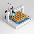 High Speed Egg Printing Machine Inkjet Egg Printer Hens Duck Pigion Eggs Coding Machine Date Logo Stamping Marking Machine