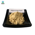 Factory Price High Quality Food Grade Emulsifiers Non Gmo Soya Lecithin Powder 20kgs/carton 24 Months Shelf Life
