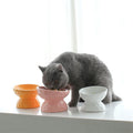Cat Dog Bowl Anti Vomiting Raised Cat Food Bowls Ceramic Pet Food and Water Bowl