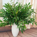 D-BF006 Fake Grey Green Willow Leaves Artificial Seeded Eucalyptus Leaves Stems Bouquet for Wedding Vase Table Centerpiece Decor