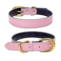 Fashion Solid Brown PU Leather Dog Collar and Leash Adjustable Gold Buckle Durable for Medium Large XL Dogs Training Use