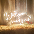 Customized Colorful Neon Signs for All Kinds of Party and Festival celebrations