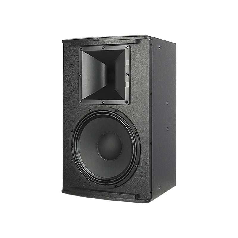 MC10 Single 10 Inch Full-Range Passive Professional Audio Speaker for Conference Rooms & KTV for Home Entertainment Systems