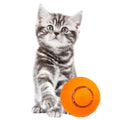 Interactive Pet Toy With Three Modes - Intelligent Rolling Ball for Cats and Dogs Durable Bouncy and Self-Entertaining