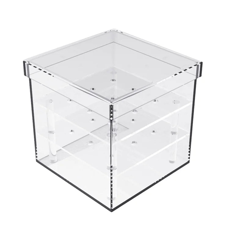 Clear Acrylic Rose Flower Box for Wedding Multi-function Water Holder Flower Pot Eyeliner Organizer 25 Hole 9 Hole Storage Box
