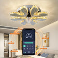 ABS Smart Memory Function 6 Speeds Light Weight Modern Led Ceiling Fan With Light and Remote