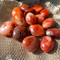 Hot Sales Polished Red Agate Palm Healing Tumbled Stones Reiki Crystal Palm Stone for Home Decoration with Mascot Theme