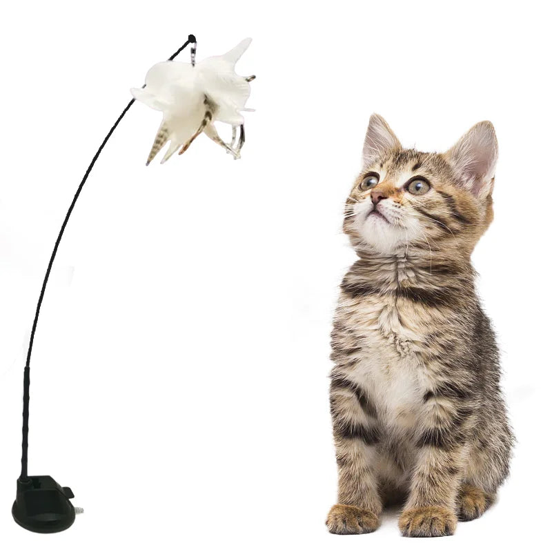 Cheap Cat Toys Custom Logo Color Feature Eco Material Type Suction Cup Cat Accessories
