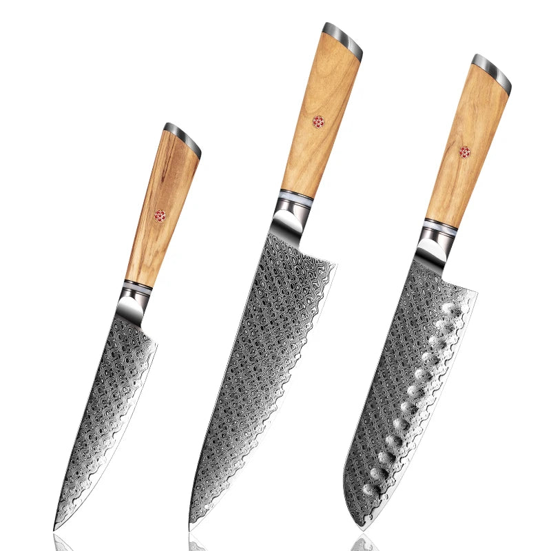 Prumium Japanese 67 Layer Damascus Steel Kitchen Chef Knives Sets Chef Santoku Utility Knives With Resin and Olive Wood Handle