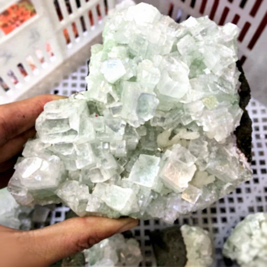 Wholesale Crystal Ornament Folk Crafts Natural Quartz Fisheye Stone Apophyllite Crystal Cluster for Home Decoration MegaBDM