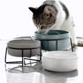 Kingtale  Ceramic Dog Bowls Set for Food and Water Bowl Raised Dog Bowl with Metal Stand