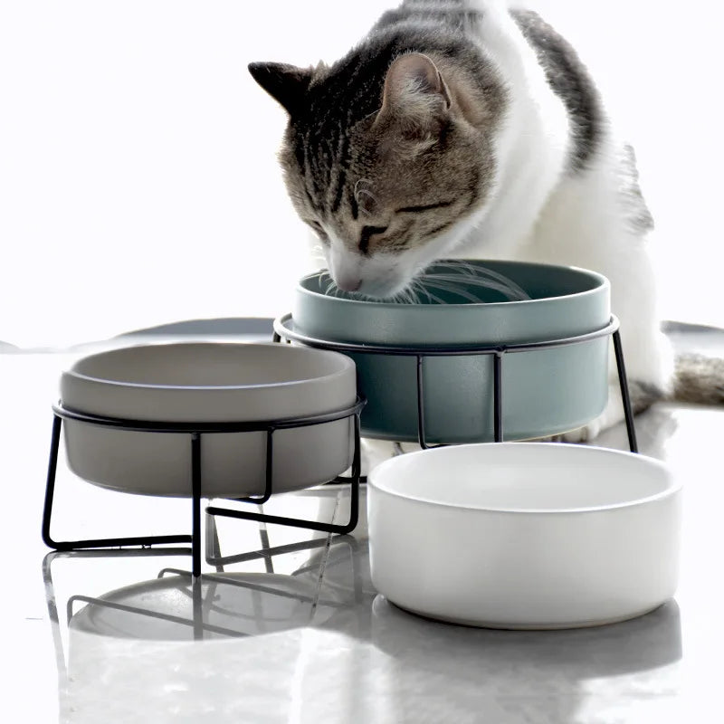 Kingtale  Ceramic Dog Bowls Set for Food and Water Bowl Raised Dog Bowl with Metal Stand