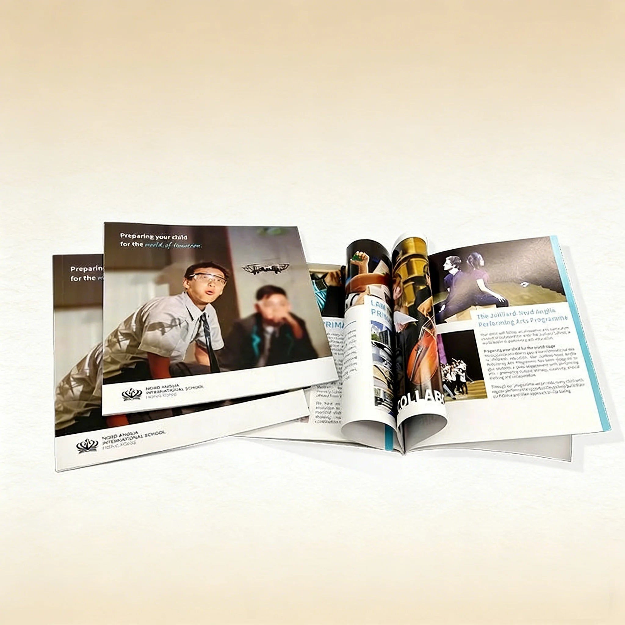Customizable Enterprise Propaganda Picture Book Teaching Material Glue Printed Catalogue Brochure Cardboard Paper Booklet Logo