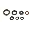 Centauro Gas EC-F 250 13-15 Engine Oil Seal Kit FKM Piston Seal for Auto Pump Machine Durable NBR Silicone Rubber Material